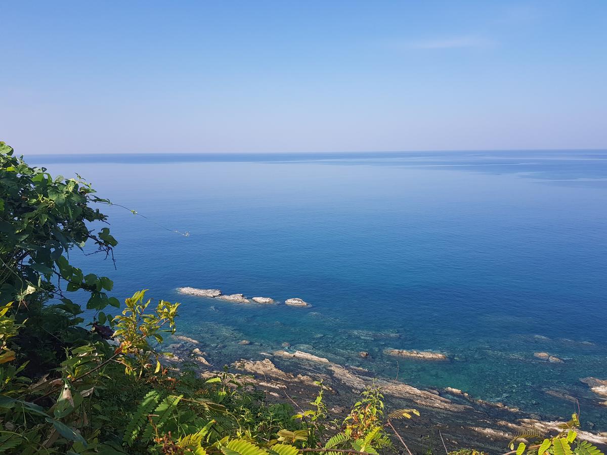 Coconut Island Resort Нгапалі Екстер'єр фото
